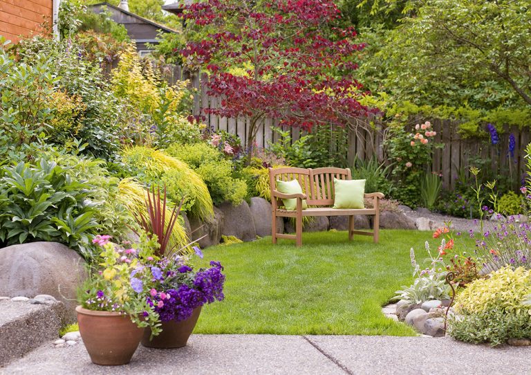 15 Gorgeous Plants to Beautify Your Lawn and Garden
